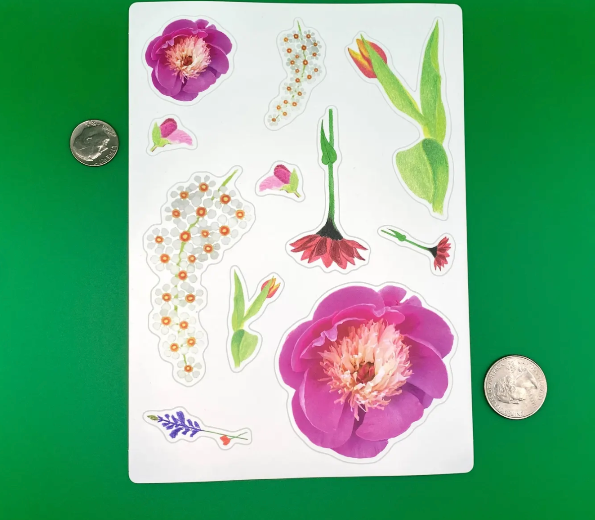 Flower Sticker Sheet: Peony, Tulip, Chokecherry, Wildflowers, Gerbera Daisy, Sweet Pea Bud