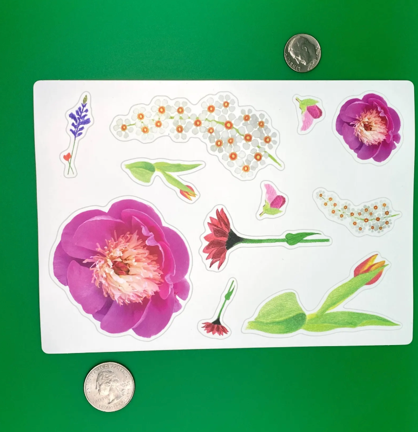 Flower Sticker Sheet: Peony, Tulip, Chokecherry, Wildflowers, Gerbera Daisy, Sweet Pea Bud