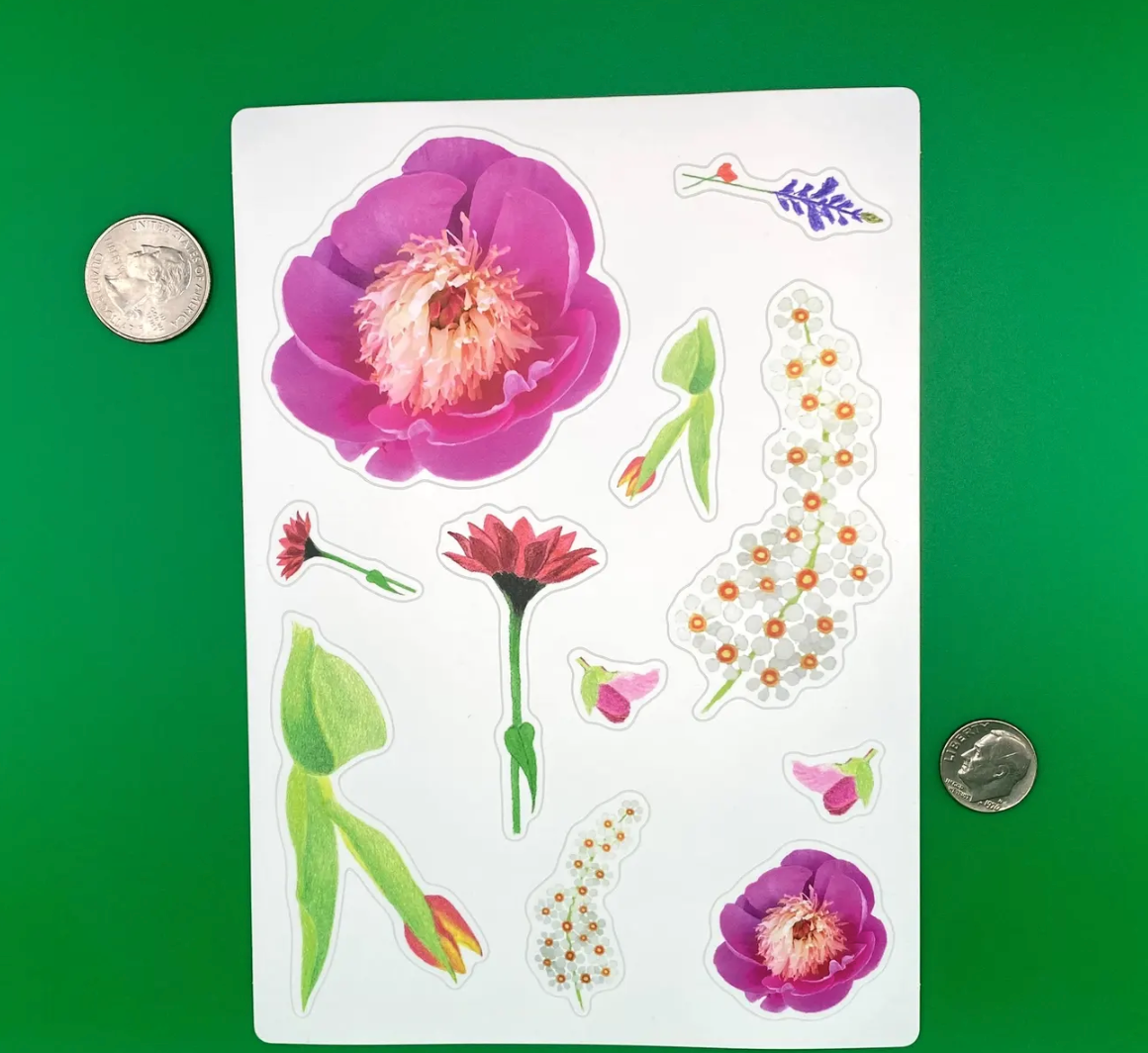 Flower Sticker Sheet: Peony, Tulip, Chokecherry, Wildflowers, Gerbera Daisy, Sweet Pea Bud
