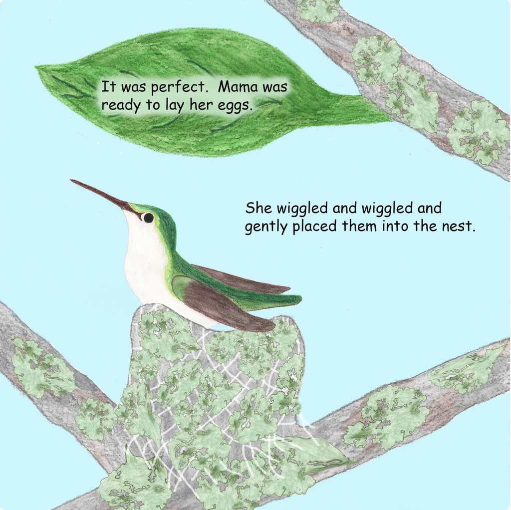 Signed Baby Hummer Grows Up: Hummingbird Adventure Children's Book - Choose Hardcover or Paperback