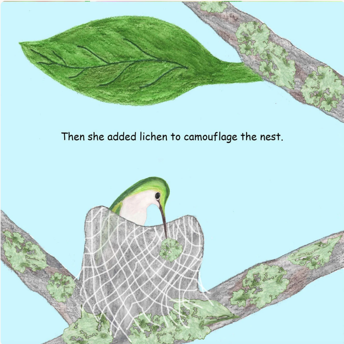 Signed Baby Hummer Grows Up: Hummingbird Adventure Children's Book - Choose Hardcover or Paperback