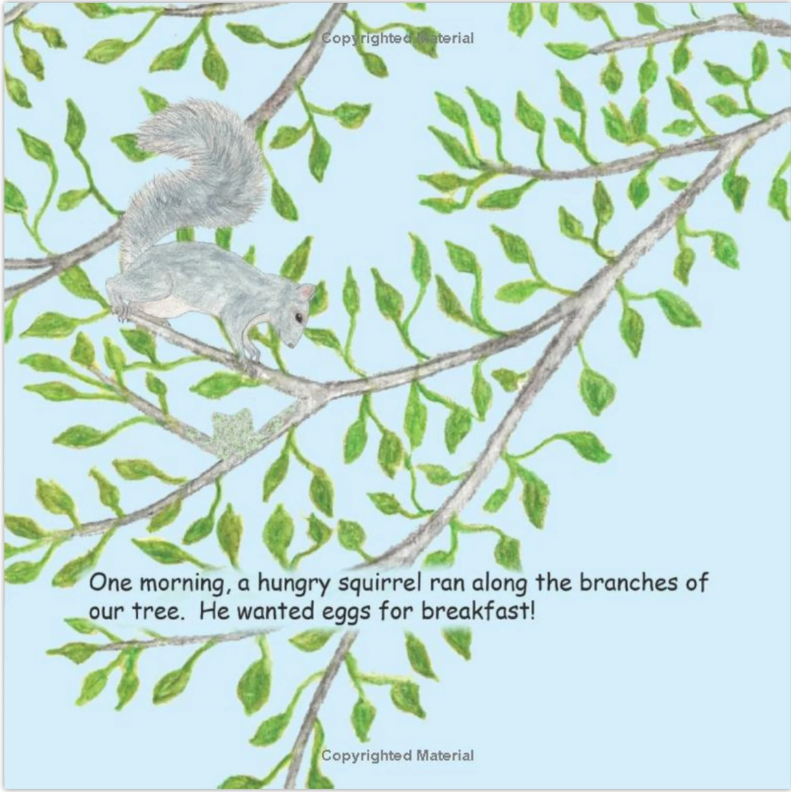 Signed Baby Hummer Grows Up: Hummingbird Adventure Children's Book - Choose Hardcover or Paperback
