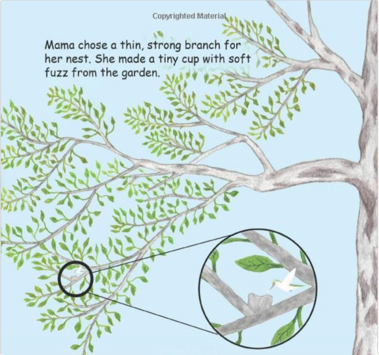 Signed Baby Hummer Grows Up: Hummingbird Adventure Children's Book - Choose Hardcover or Paperback