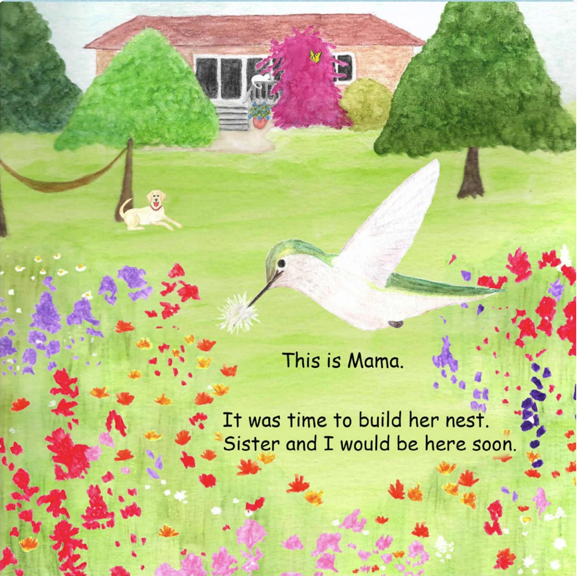 Signed Baby Hummer Grows Up: Hummingbird Adventure Children's Book - Choose Hardcover or Paperback