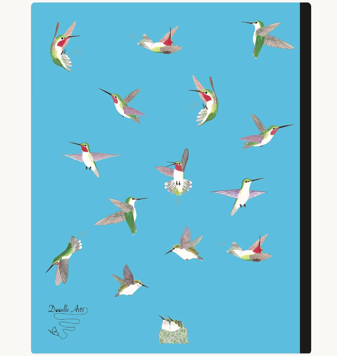 Acrobatic Hummingbirds Composition Notebook: Wide Ruled Bird Lovers Journal