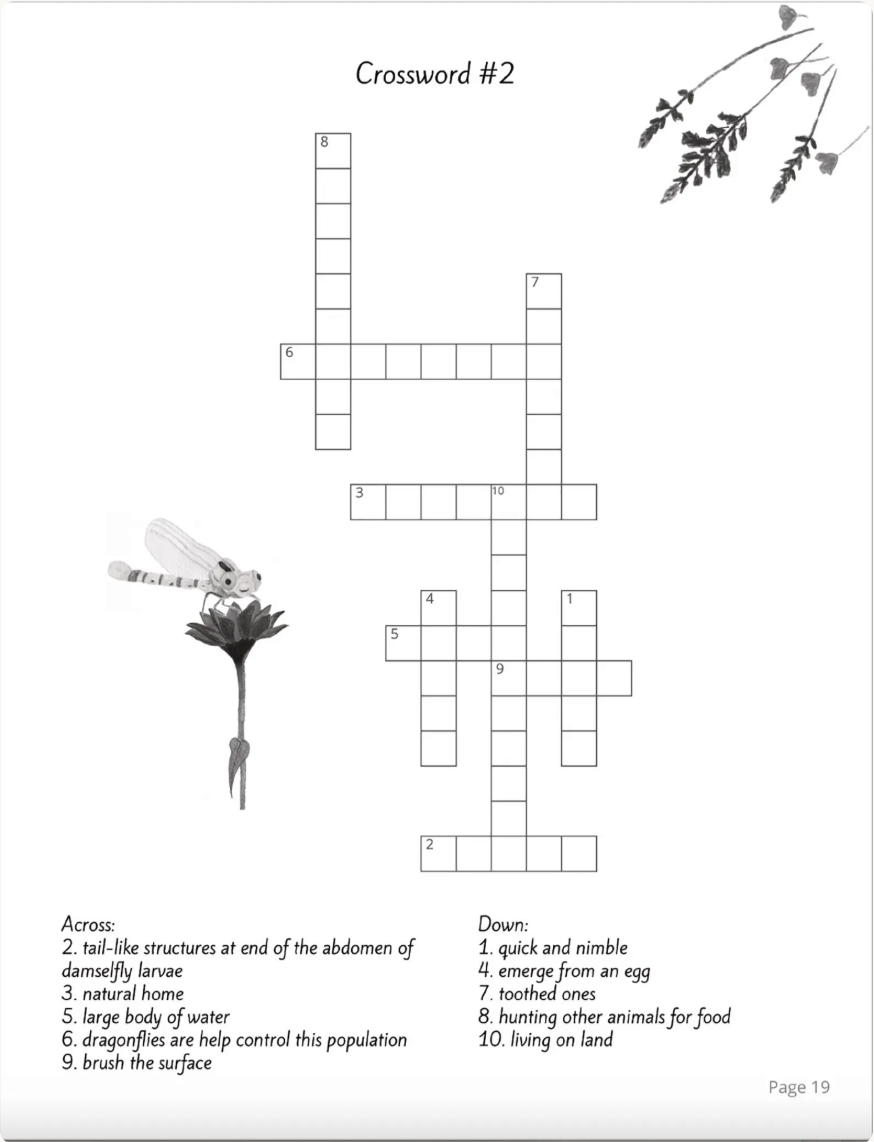 Dragonfly Lover Variety Puzzle Book: Word Search, Sudoku, Mazes, Crosswords