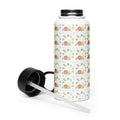 Snail Stainless Steel Water Bottle with a Straw Lid